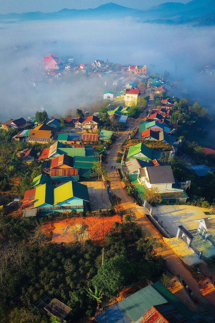 Săn vé máy bay