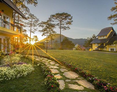 Rừng thông Đà Lạt